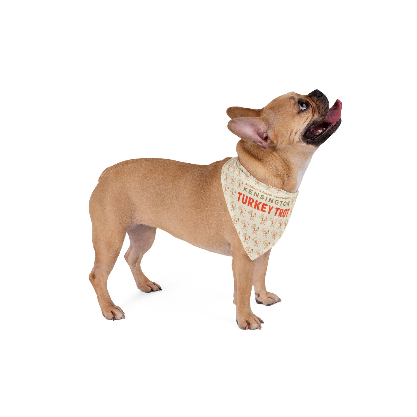 Kensington Turkey Trot Dog Bandana Beige