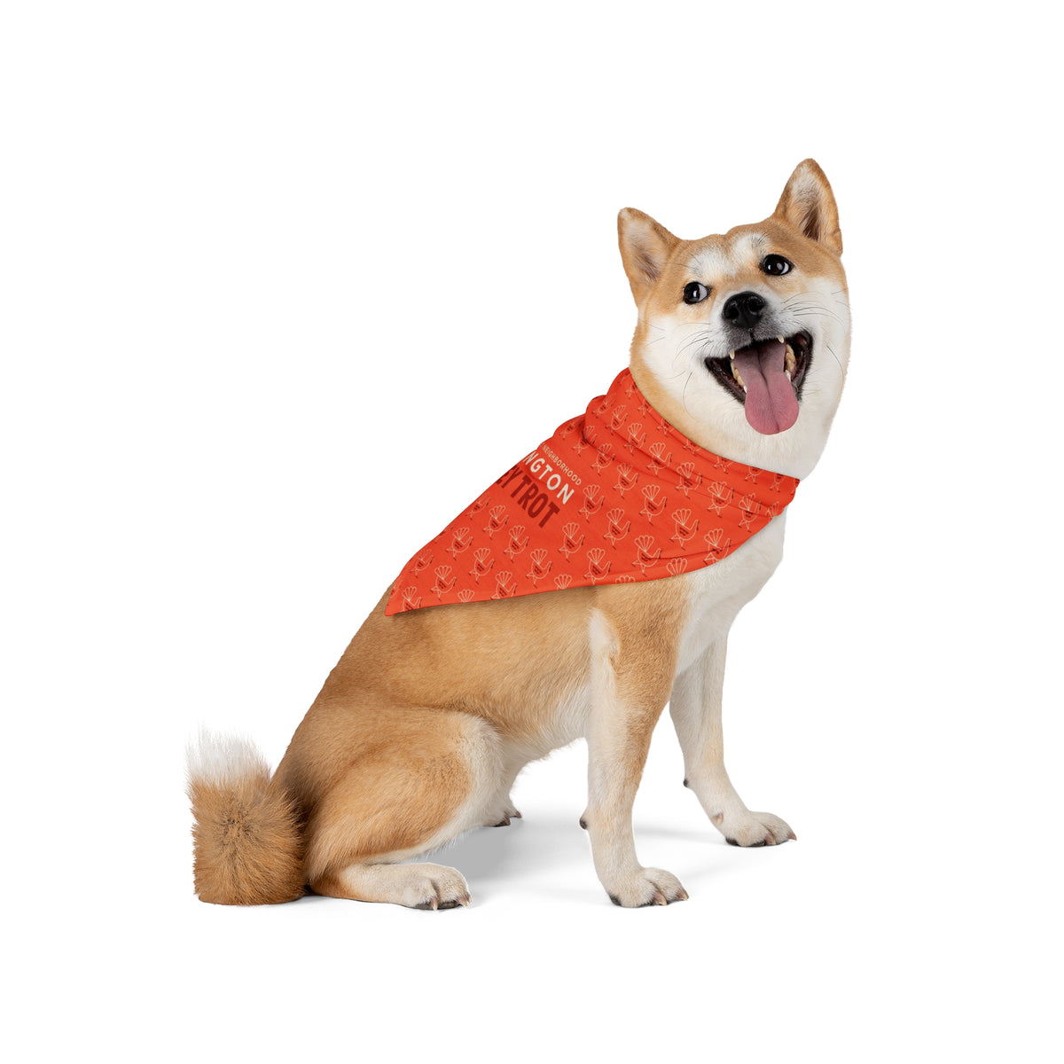 Kensington Turkey Trot Dog Bandana Orange